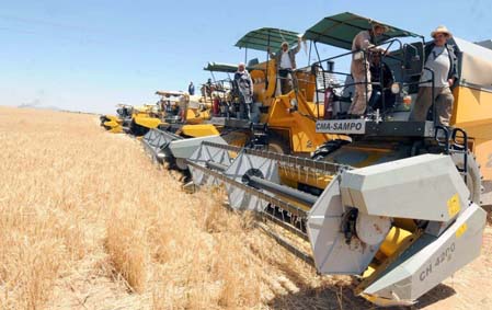 Cultures stratégiques / L’autosuffisance alimentaire à portée de main