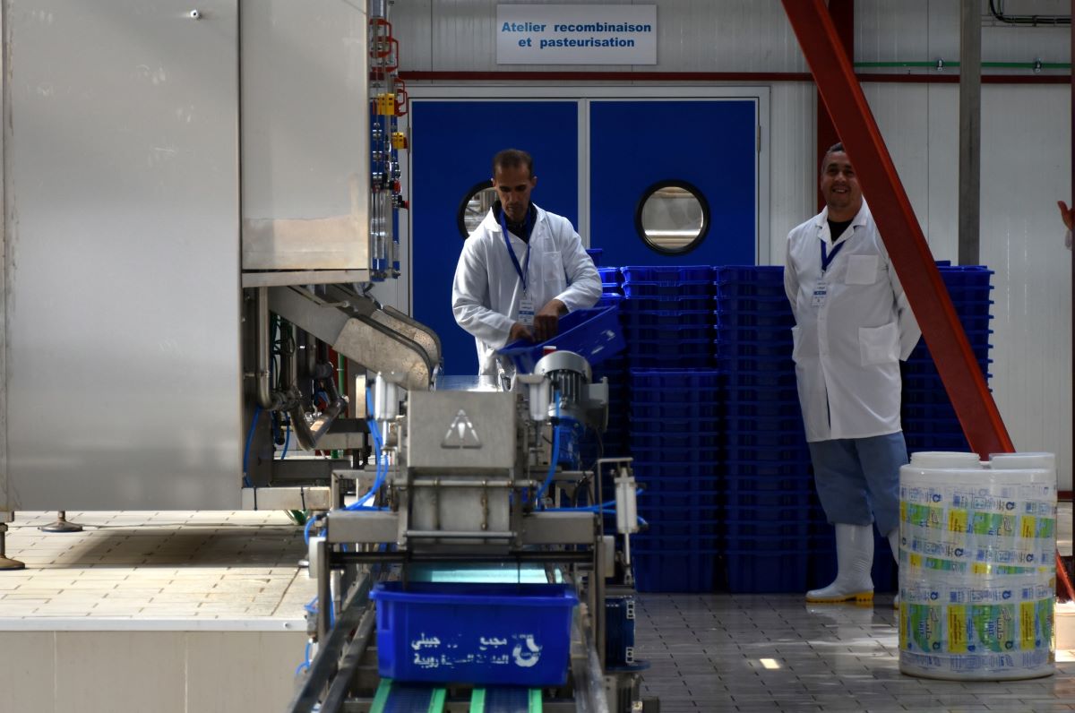 Autosuffisance alimentaire / Lancement des premiers essais de production à la nouvelle laiterie de Rouïba