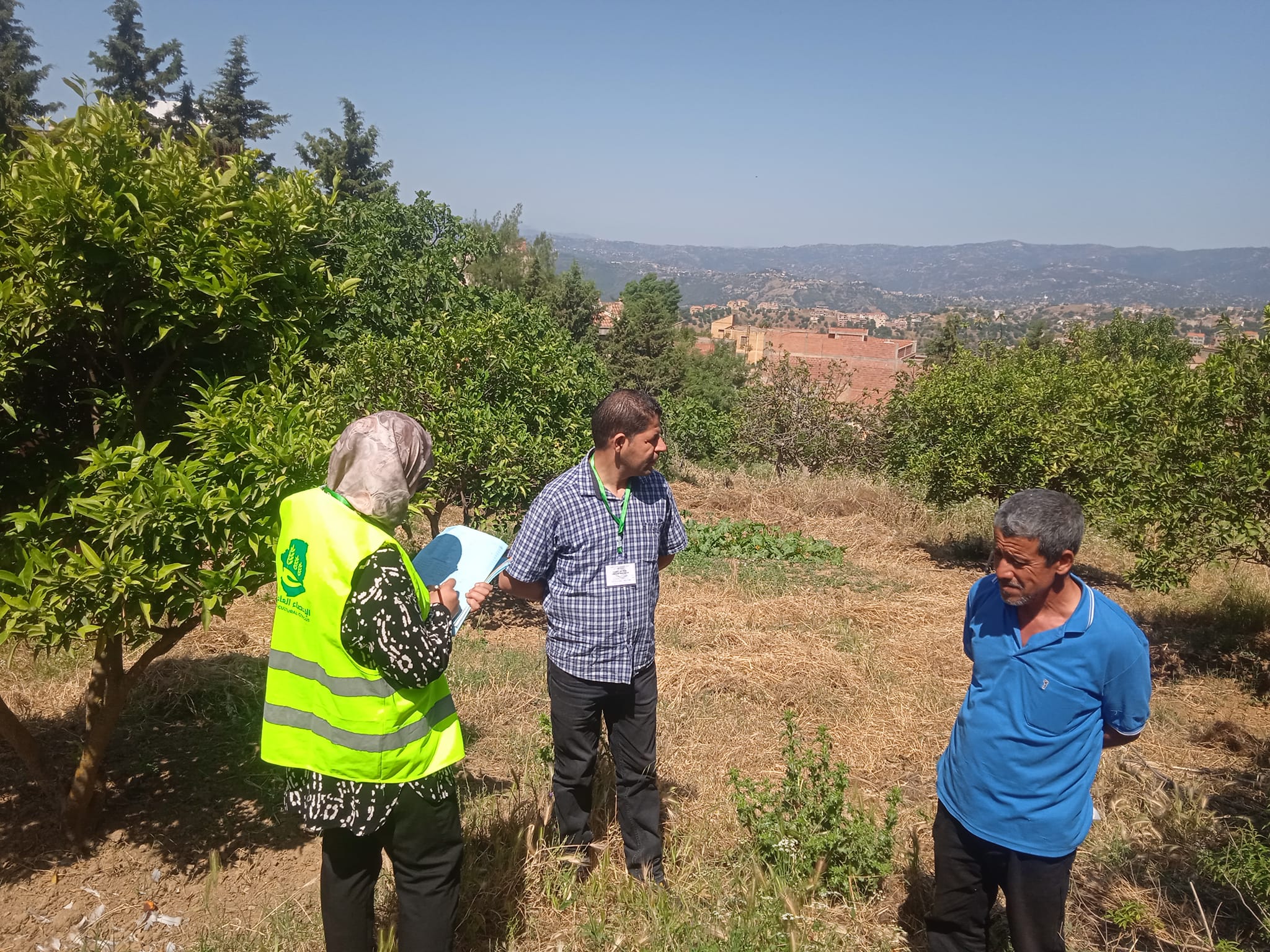 Ain Defla / Plus de 1100 exploitations agricoles concernées par l’enquête post-censitaire du RGA 2024