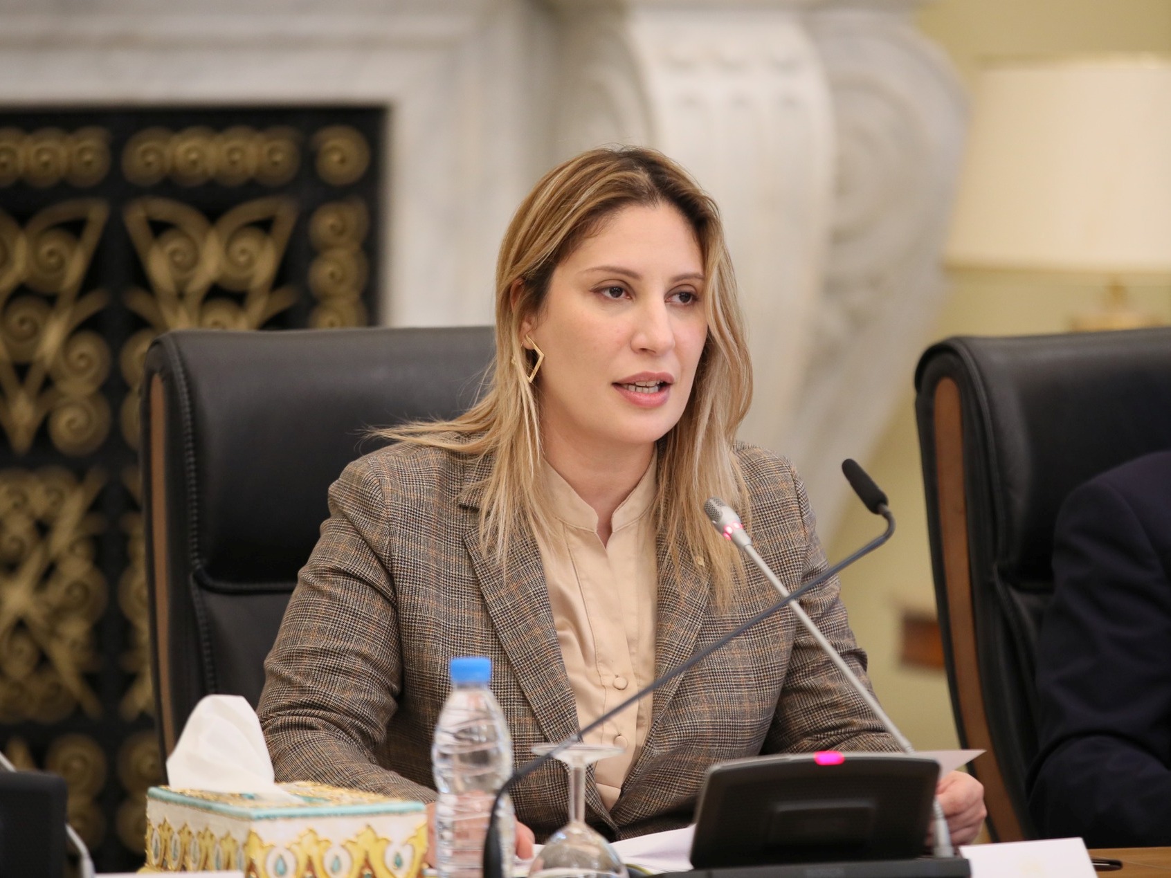 Environnement / Mme Djilali examine avec son homologue nigérien les voies et moyens de renforcer la coopération bilatérale