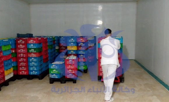 Filière lait / La laiterie ”Séfar” assurera l’approvisionnement du marché local durant le Ramadhan