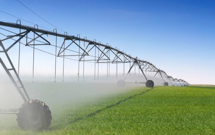 Guelma / 5 millions de m3 d’eaux pour l’irrigation agricole