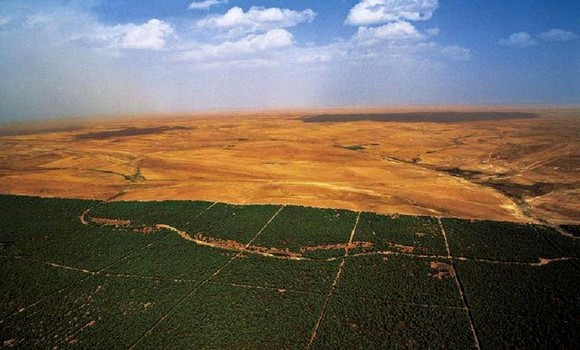 Projet de réhabilitation du barrage vert / Cherfa préside une réunion d’évaluation des différentes opérations