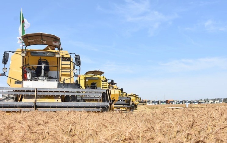 Production de céréales et de légumineuses à Timimoun / Toutes les facilités assurées pour accélérer le lancement du projet