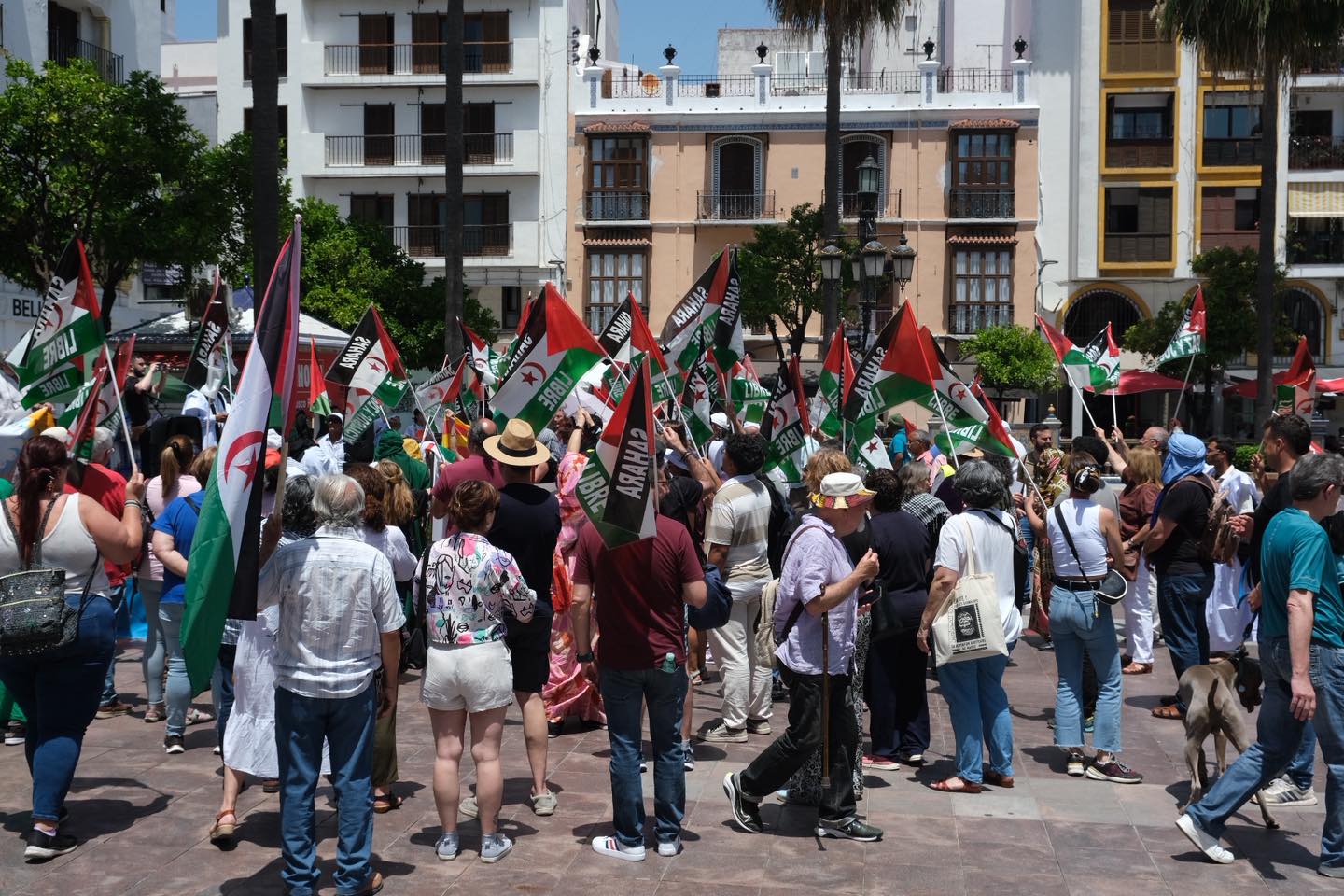 Pour exiger la libération des détenus politiques sahraouis / La “Marche de la liberté” se dirige vers le Maroc   