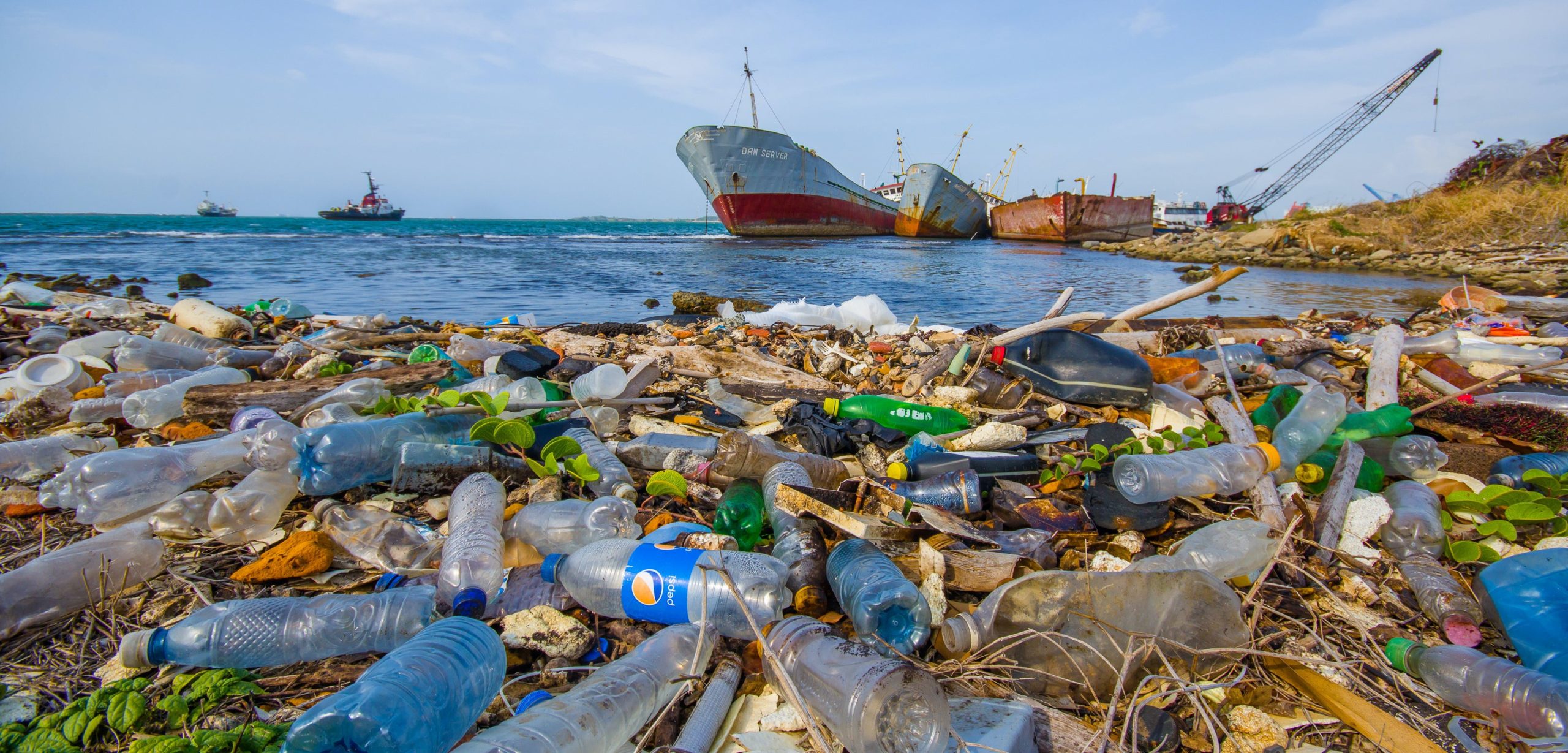 Respect de l’environnement / Une lutte implacable contre le plastique
