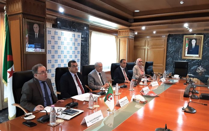 Reprise progressive de la production au sein de l’Opep+ / L’Algérie relance sa production de pétrole pour accompagner la demande estivale