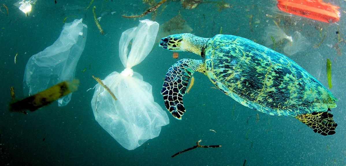 Protection des océans / Une urgence environnementale interpelle l’Humanité