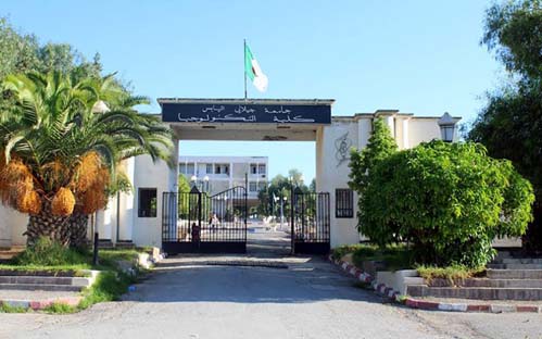 Sidi Bel-Abbes / L’Université forme ses enseignants pour mieux encadrer les projets d’étudiants