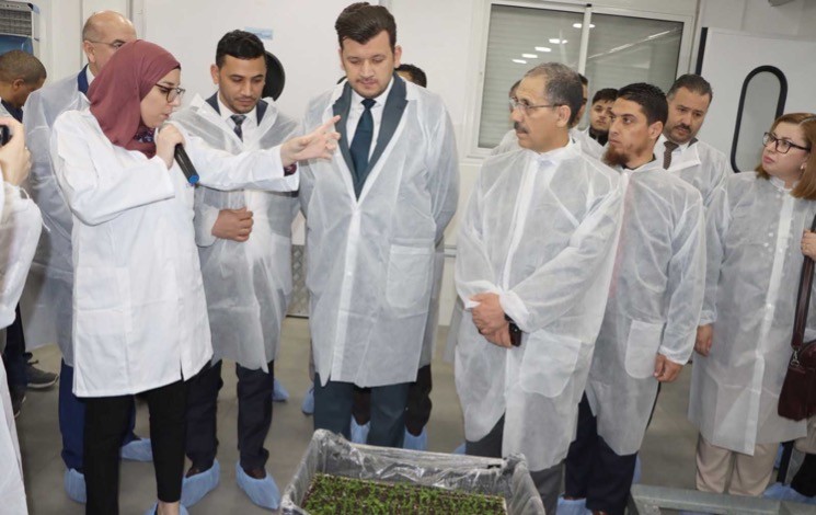 Renforcement de la sécurité alimentaire / L’Algérie mise sur ses propres semences