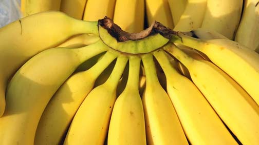 Souk-Ahras / Deux personnes arrêtées pour spéculation sur la banane