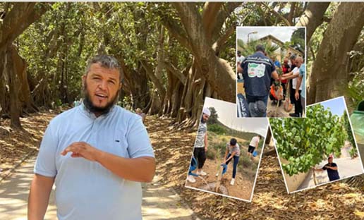 Verdure / Et si on ne reboisait pas ?