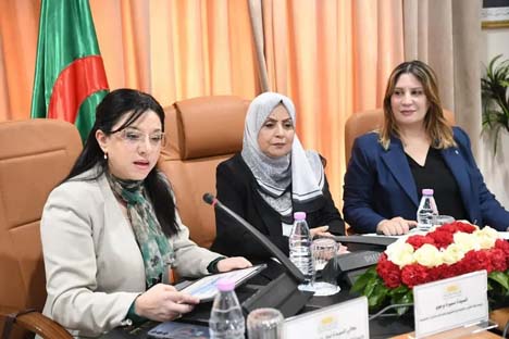 APN/Poursuite de l’examen du projet de loi relatif à l’exercice des activités commerciales