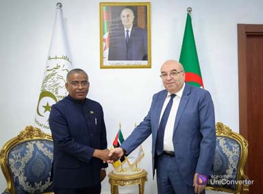 Médicaments/Coopération  / L’Algérie et le Mozambique pour un partenariat stratégique et durable