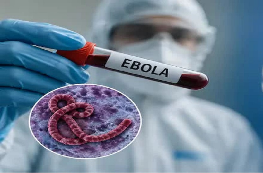 Ebola / Course contre la montre pour contenir l’épidémie et développer de nouveaux traitements