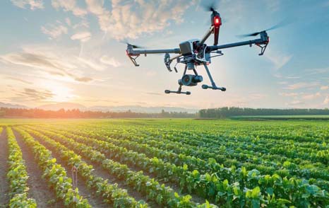 Création d’un centre d’excellence algéro-italien dédié à l’agriculture à Sidi Bel Abbes/ Un établissement scientifique à vocation africaine