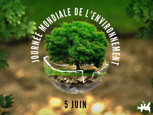 Célébration de la Journée mondiale de l’environnement / Deux nouvelles infrastructures environnementales pour Draâ E-Mizan