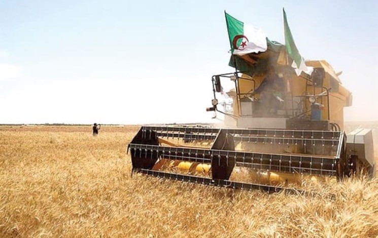 Khenchela / Lancement de la campagne moissons-battage