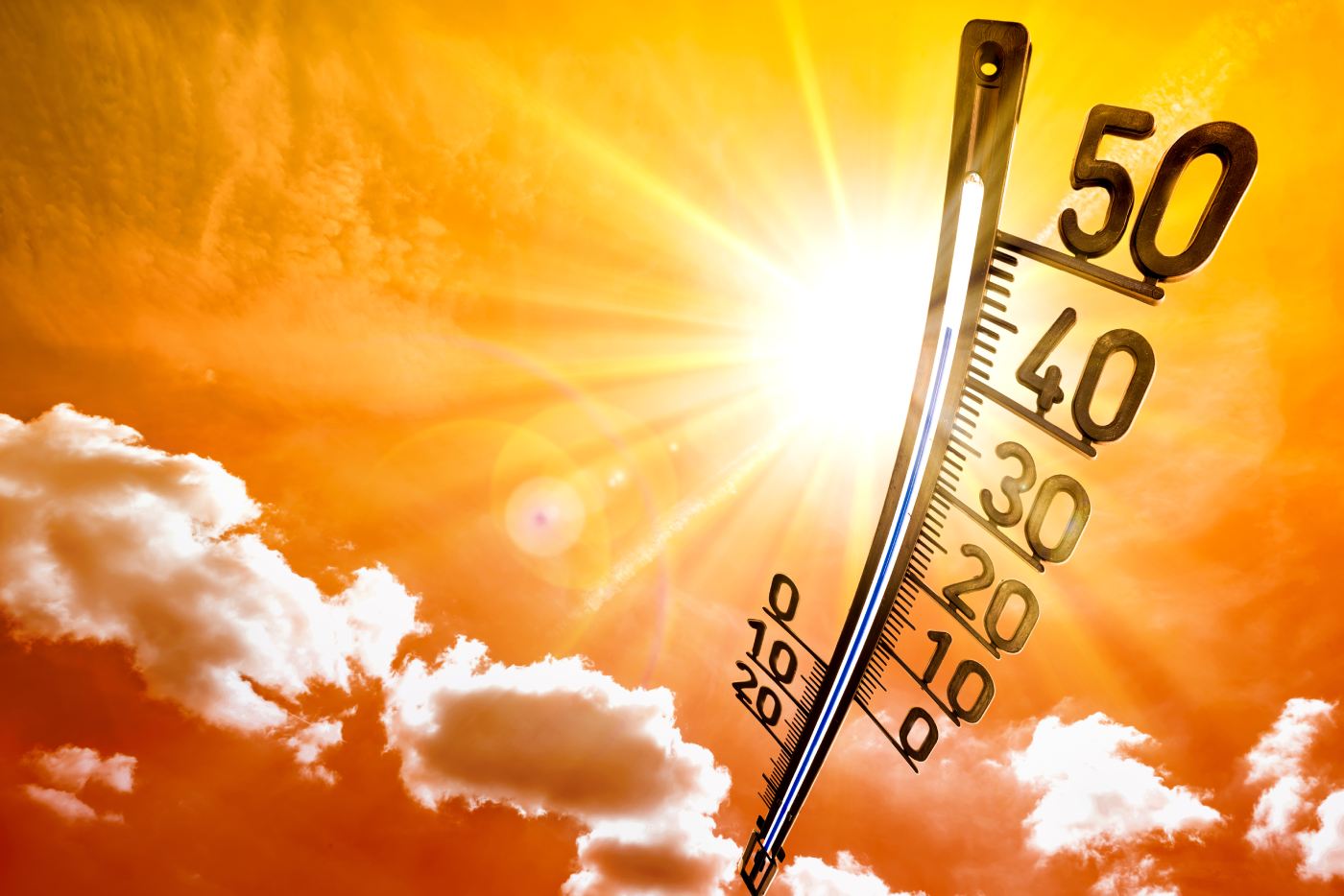 Canicule historique en Europe/ Le quotidien complètement bouleversé