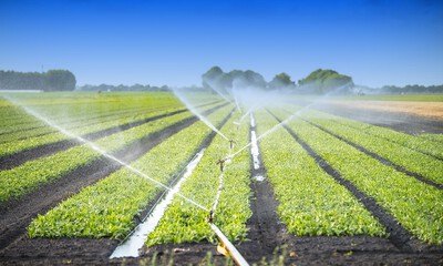 Hydraulique et agriculture // Une campagne d’irrigation 2026 sous le signe de la sécurité alimentaire