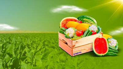 Modernisation agricole nationale // Nouveau référentiel des semences homologuées