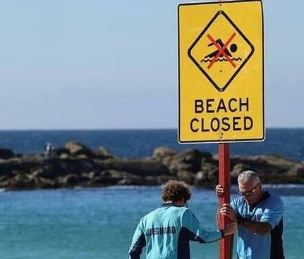 Australie/Les requins attaquent toujours