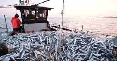 Sécurité alimentaire // Lutte contre la pêche illégale en Afrique de l’Ouest