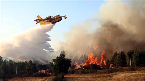 Incendies/Poursuite des opérations d’extinction et activation de la coordination entre les différents intervenants