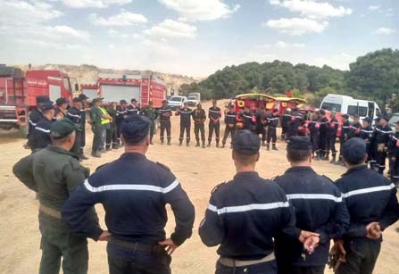 Lutte contre les incendies de forêt/Déploiement de deux postes de coordination à Annaba pour optimiser les opérations