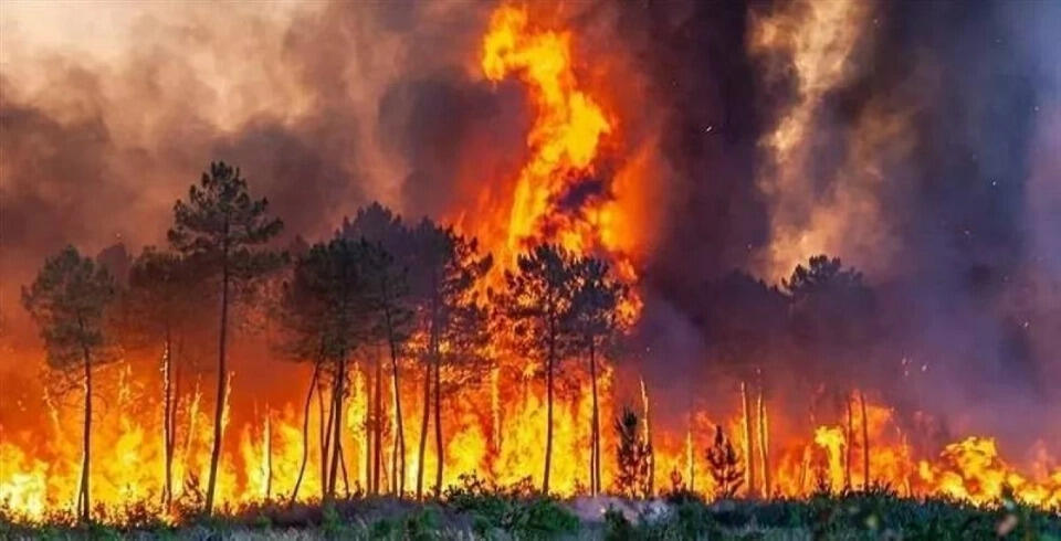 Allemagne / La lutte contre la propagation des feux de forêt dans le Sud entravée par des vents violents