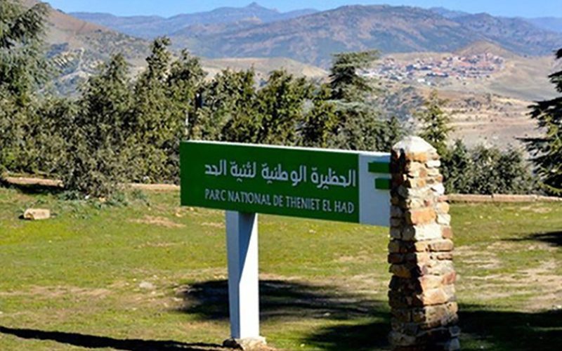 Jeunesse et tourisme/  Le camp de Theniet El Had bientôt opérationnel