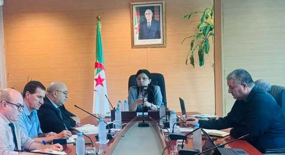 Réunion au ministère du  Commerce intérieur et de la Régulation du marché national/Instructions pour assurer la continuité de l’approvisionnement des citoyens dans les zones touchées par les incendies
