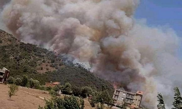 Incendies de forêt / Le ministère de l’Agriculture entame l’indemnisation des agriculteurs et éleveurs