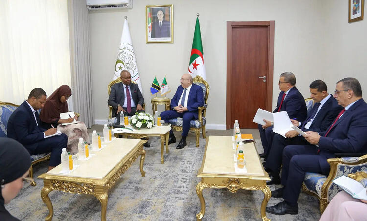 Industrie pharmaceutique / Kouidri examine avec l’ambassadeur tanzanien les opportunités de coopération