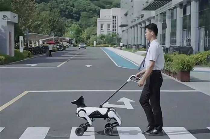 Un robot-chien pour aveugles commercialisé en Chine // Même les animaux sont impactés par l’IA !