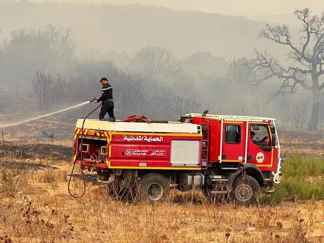 La protection civile l’a annoncé / Tous les incendies maîtrisés dans le nord-est, la surveillance se poursuit