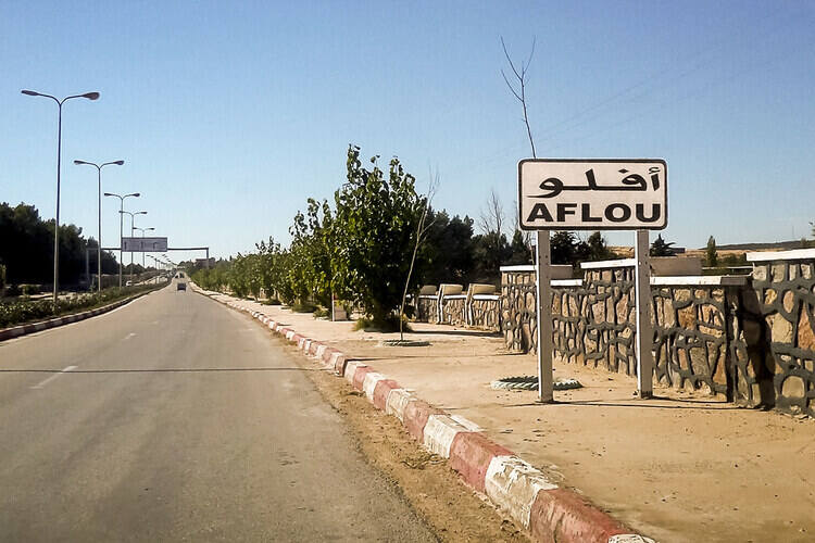 Projets de boisement à Aflou / L’eau d’abord !