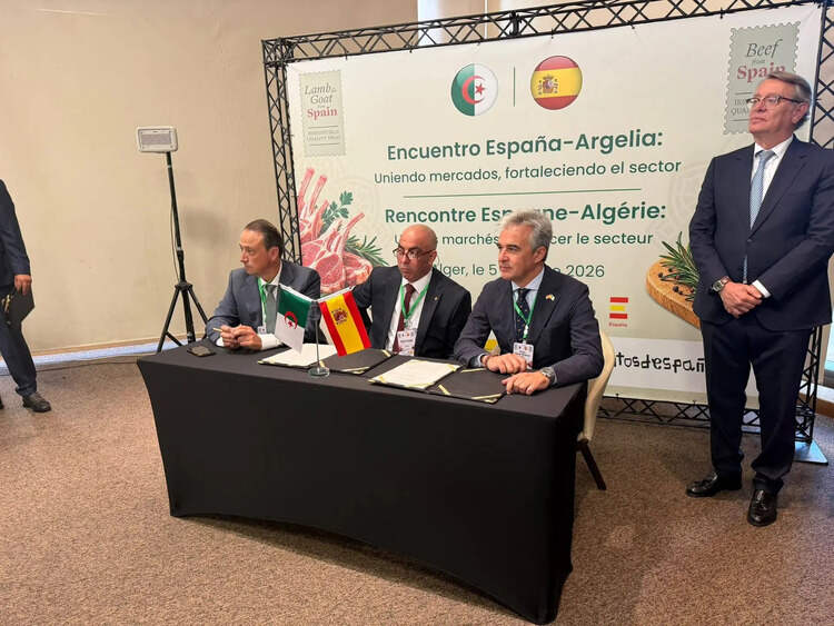 Algérie-Espagne / Signature de deux accords de coopération dans la filière des viandes rouges