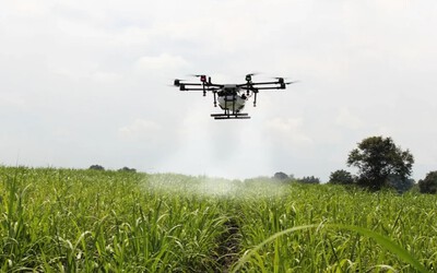 Sécurité alimentaire / La modernisation condition sine qua non