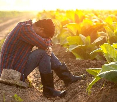 Bouleversement climatique / Impact sur le mental des agriculteurs